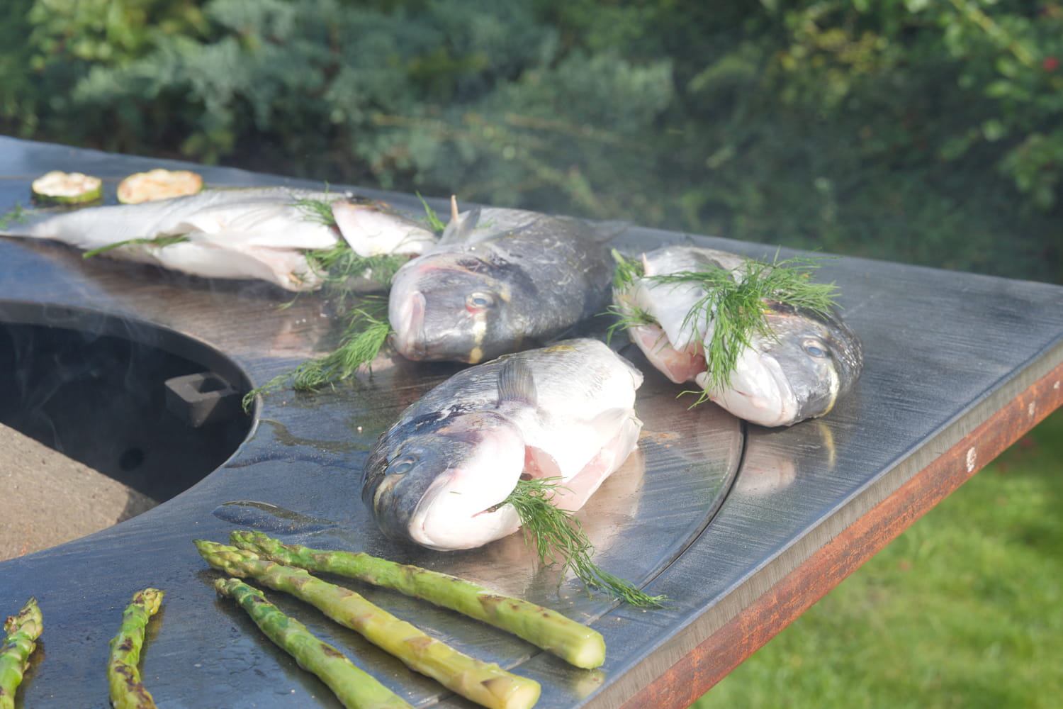 artiss_grille1