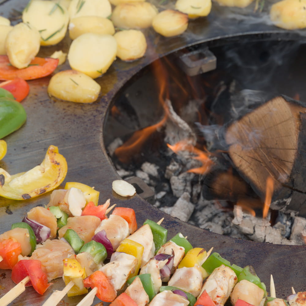artiss_grille6a