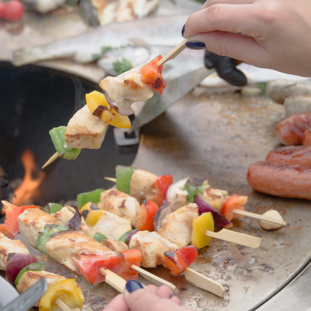 artiss_grille15a
