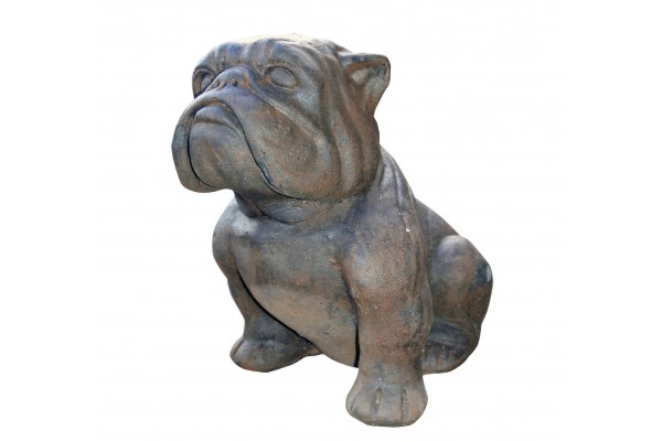 bulldog-assis