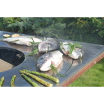 artiss_grille1