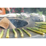 artiss_grille2