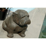 bulldog-assis (1)