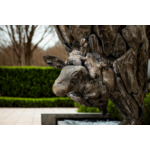 Design sans titre - 2025-09-25T203720.120