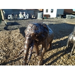 IMG_20220212_105125