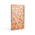 CPA9