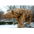 Design sans titre - 2025-09-25T203323.511