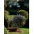 Design sans titre - 2025-09-25T205357.516