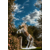 Design sans titre - 2025-09-25T205535.162