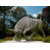 Design sans titre - 2025-09-25T205944.104