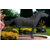 Design sans titre - 2025-09-25T211051.431