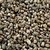 rhin-16-32-mm