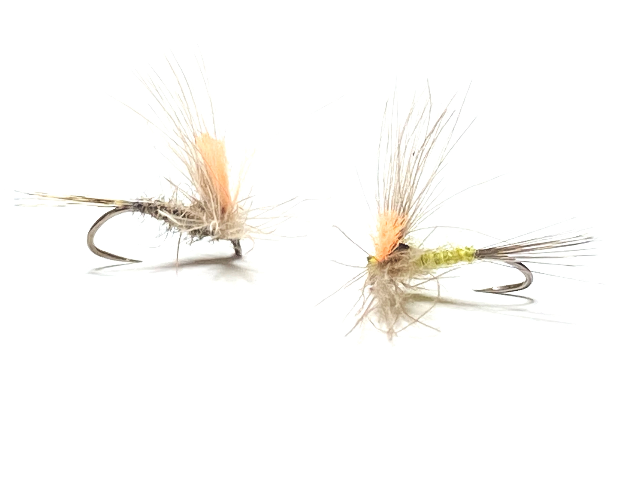 Maxcatch Ligne de pêche à la mouche flottante double conique 30,5 m Orange, vert mousse (2F, 3F, 4F, 5F, 6F, 7F, 8F) (orange, DT5F