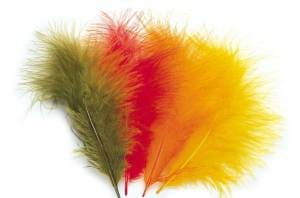 plume de marabout