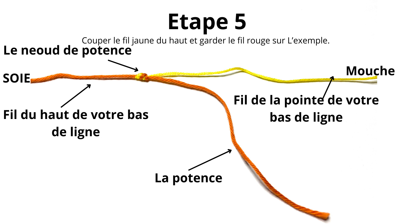 Le noeud potence nymphe