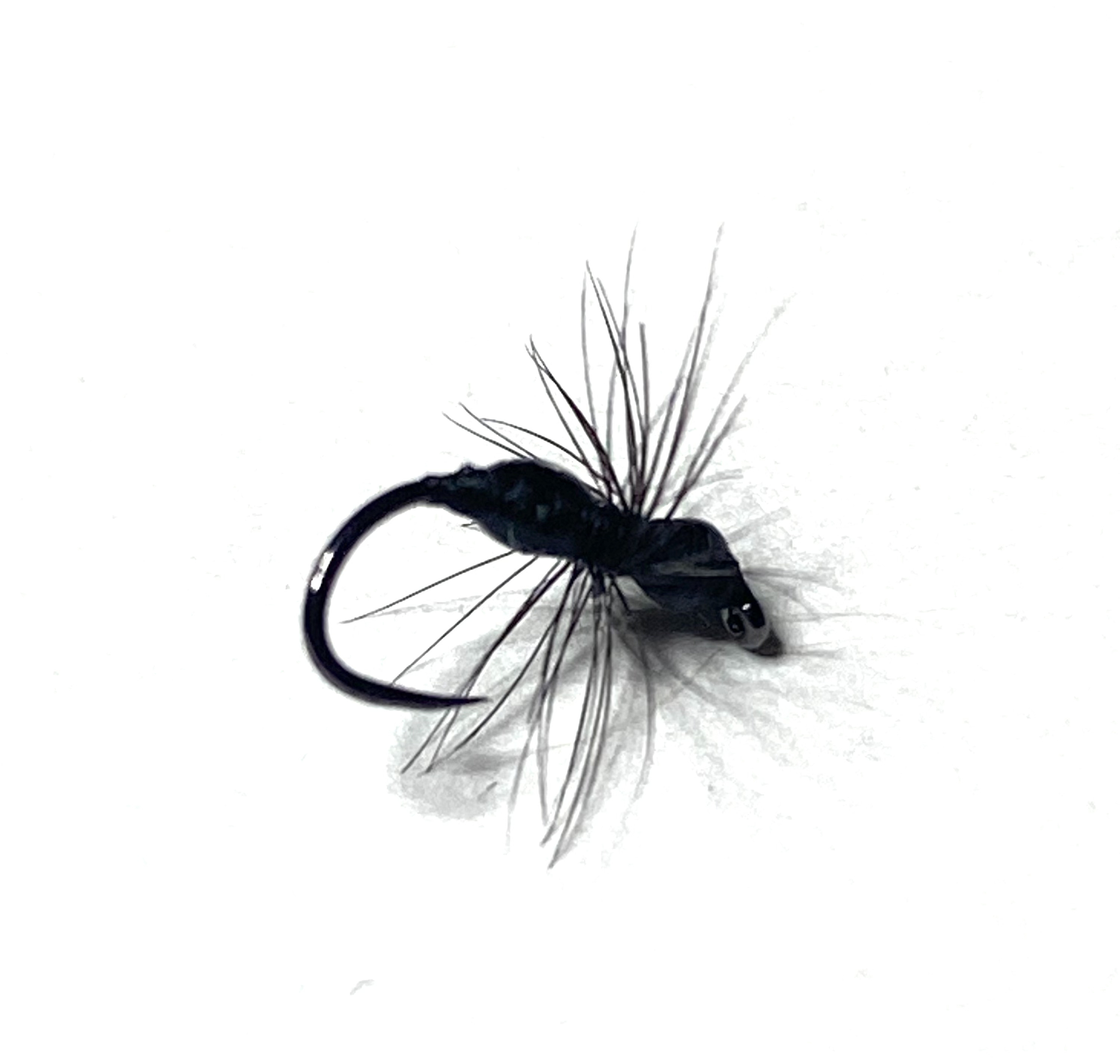 mouche sèche fourni