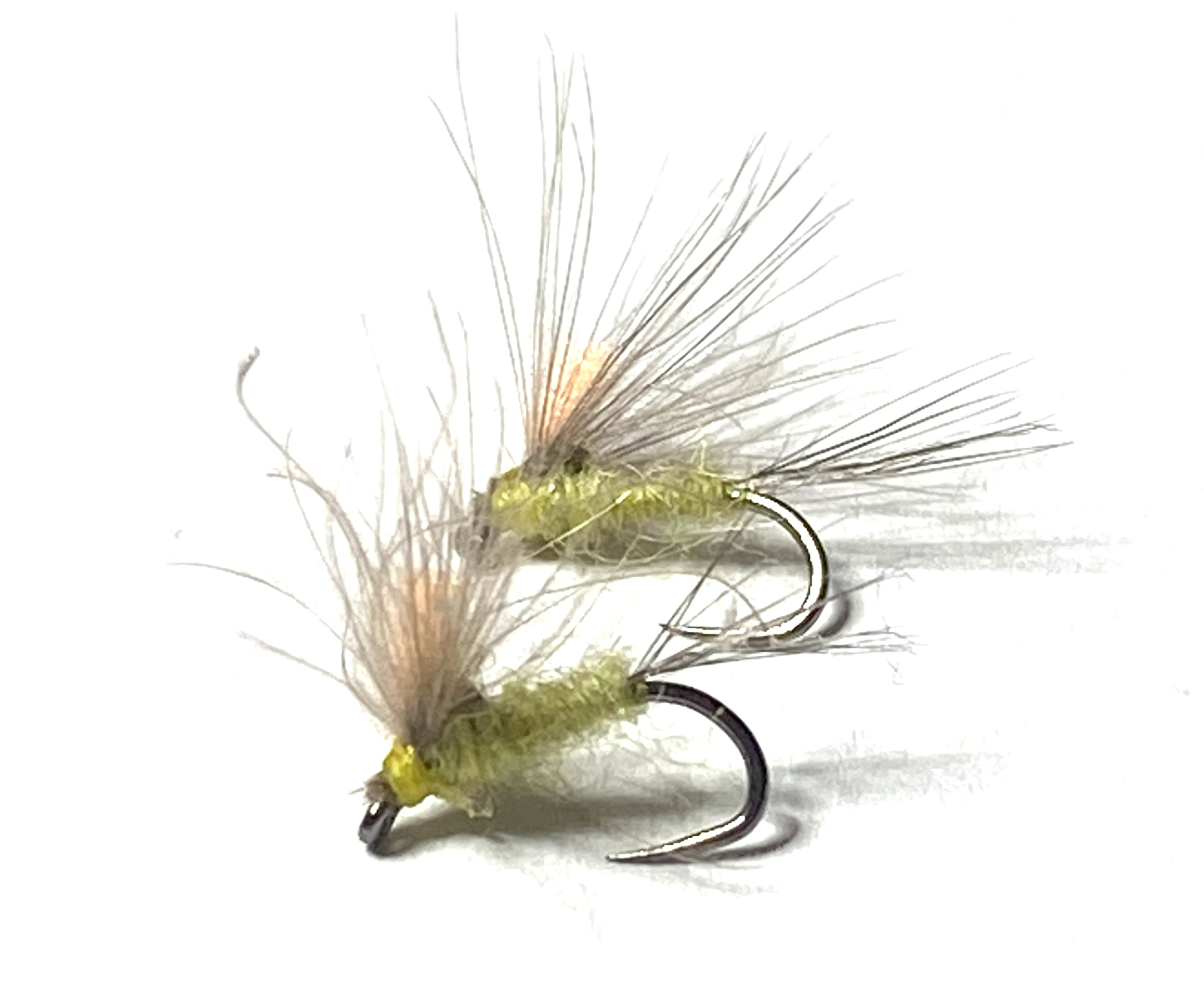 mouche seche