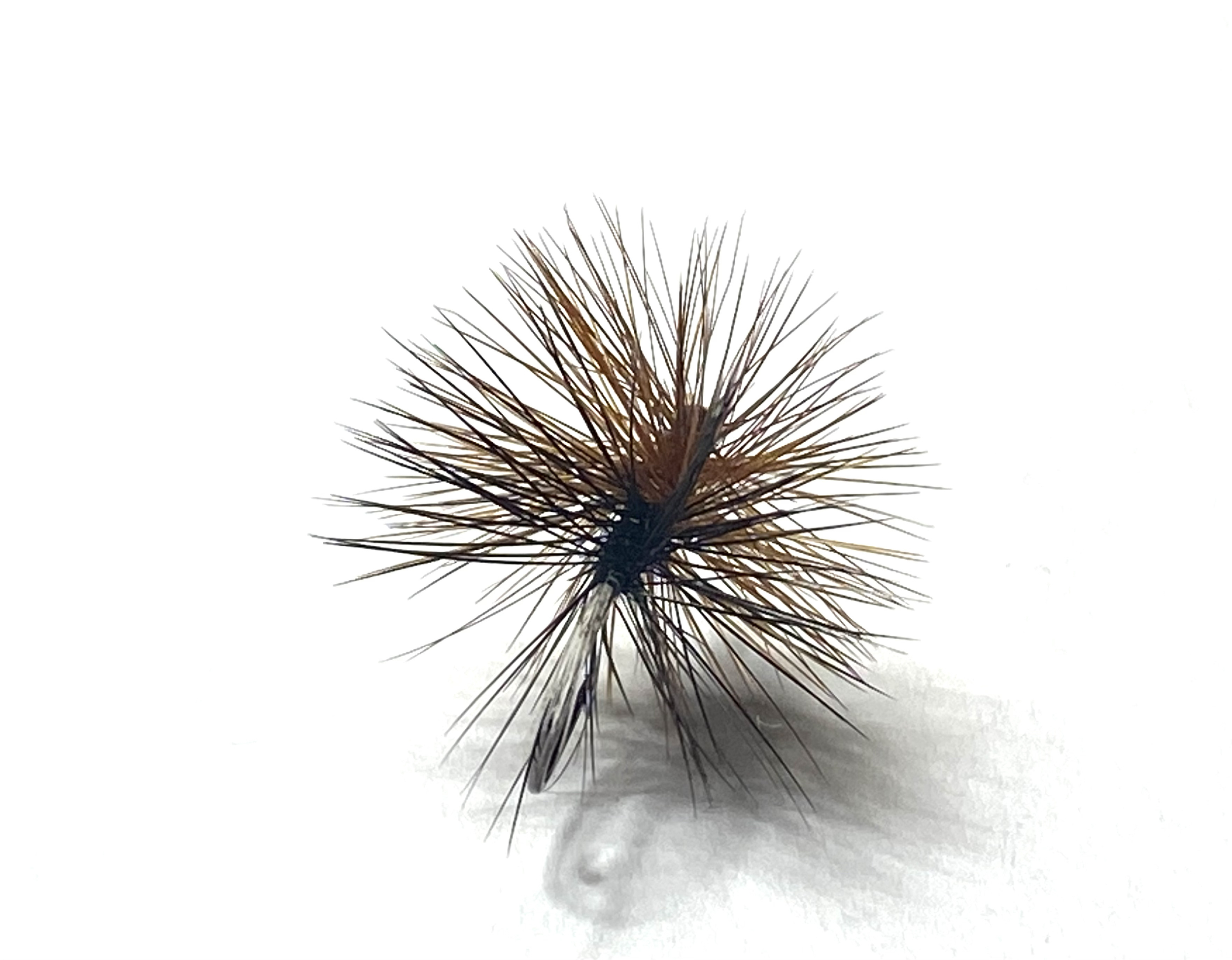 palmer noir roux1