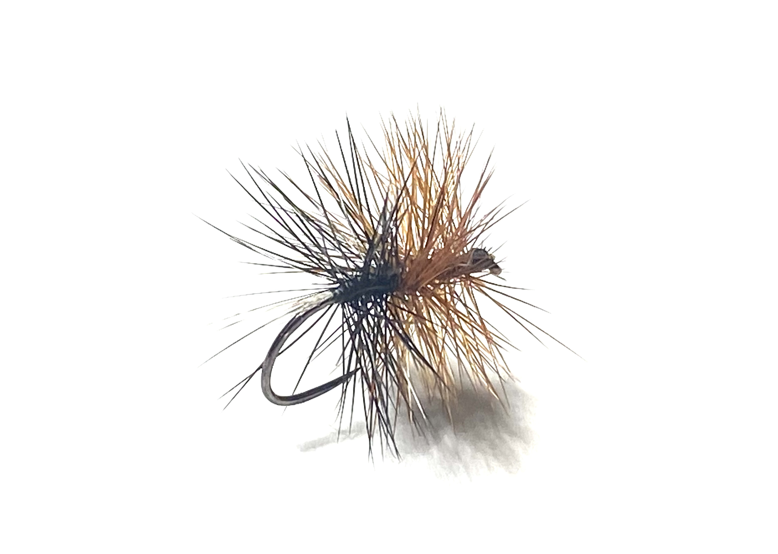 palmer roux noir 5
