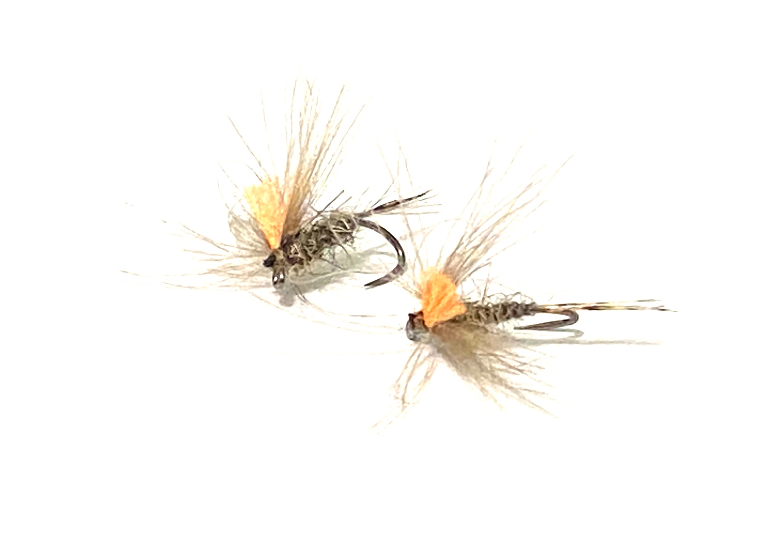 mouche seche debut de saison