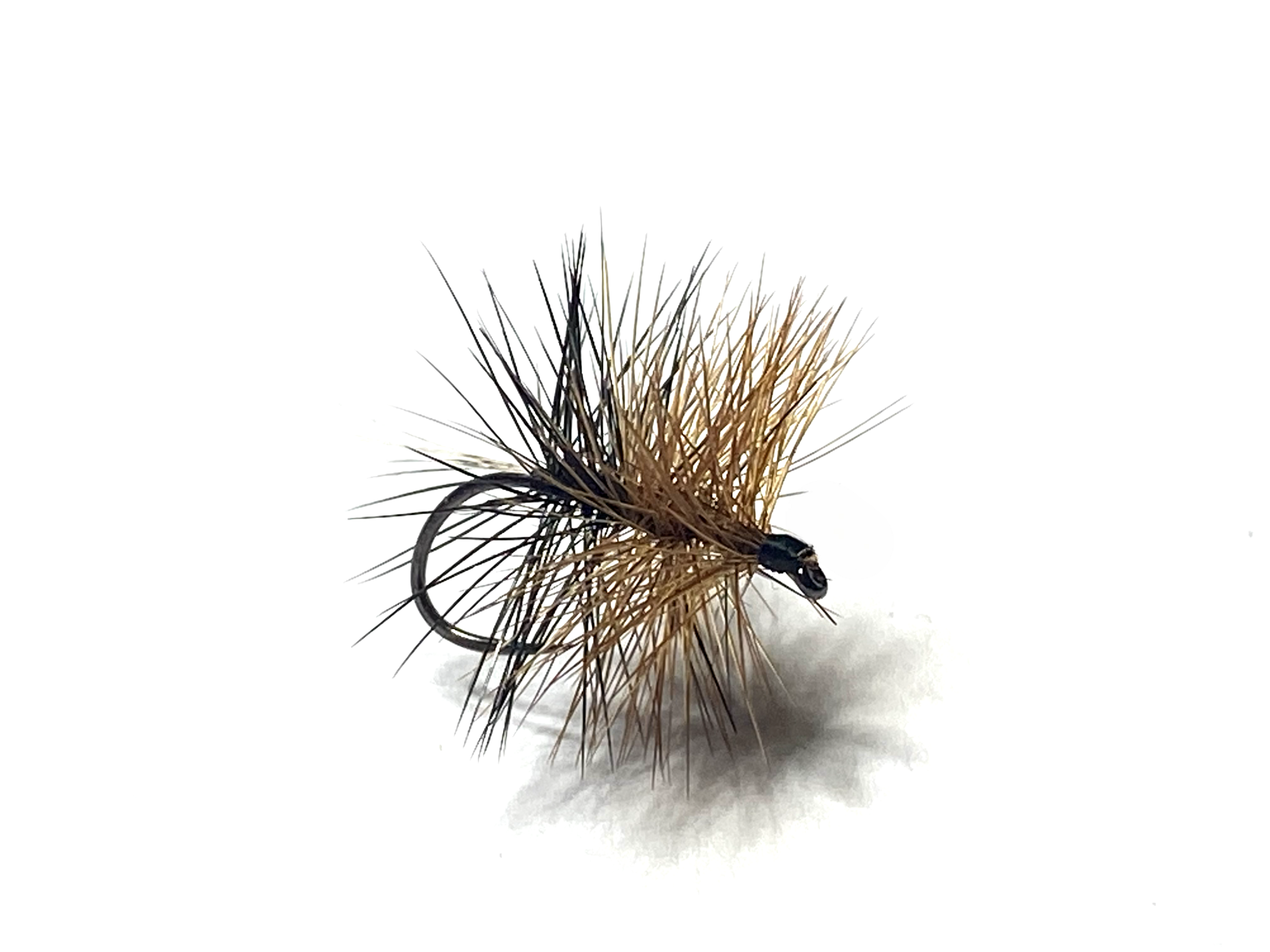 mouche sèche palmer