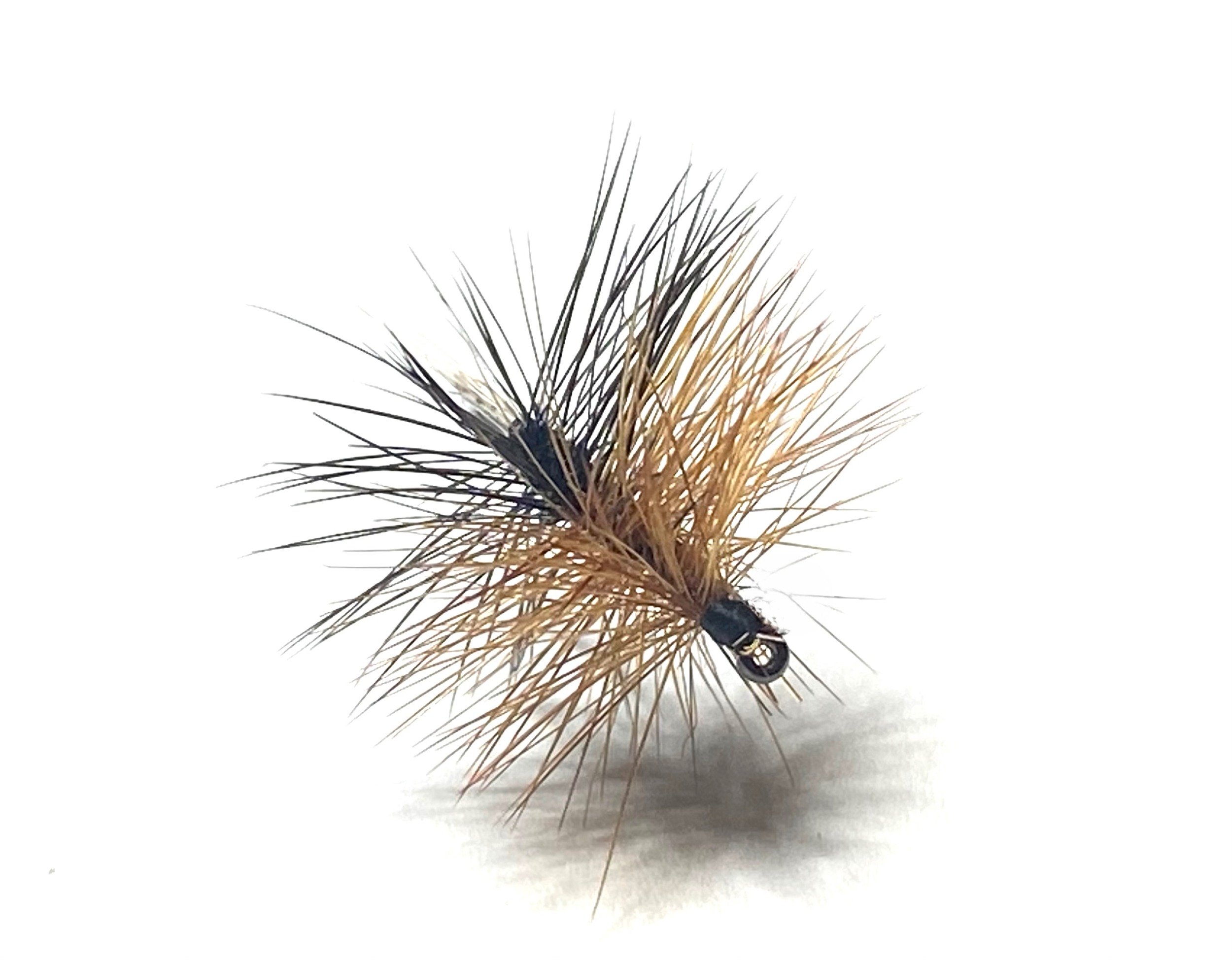 mouche sèche palmer