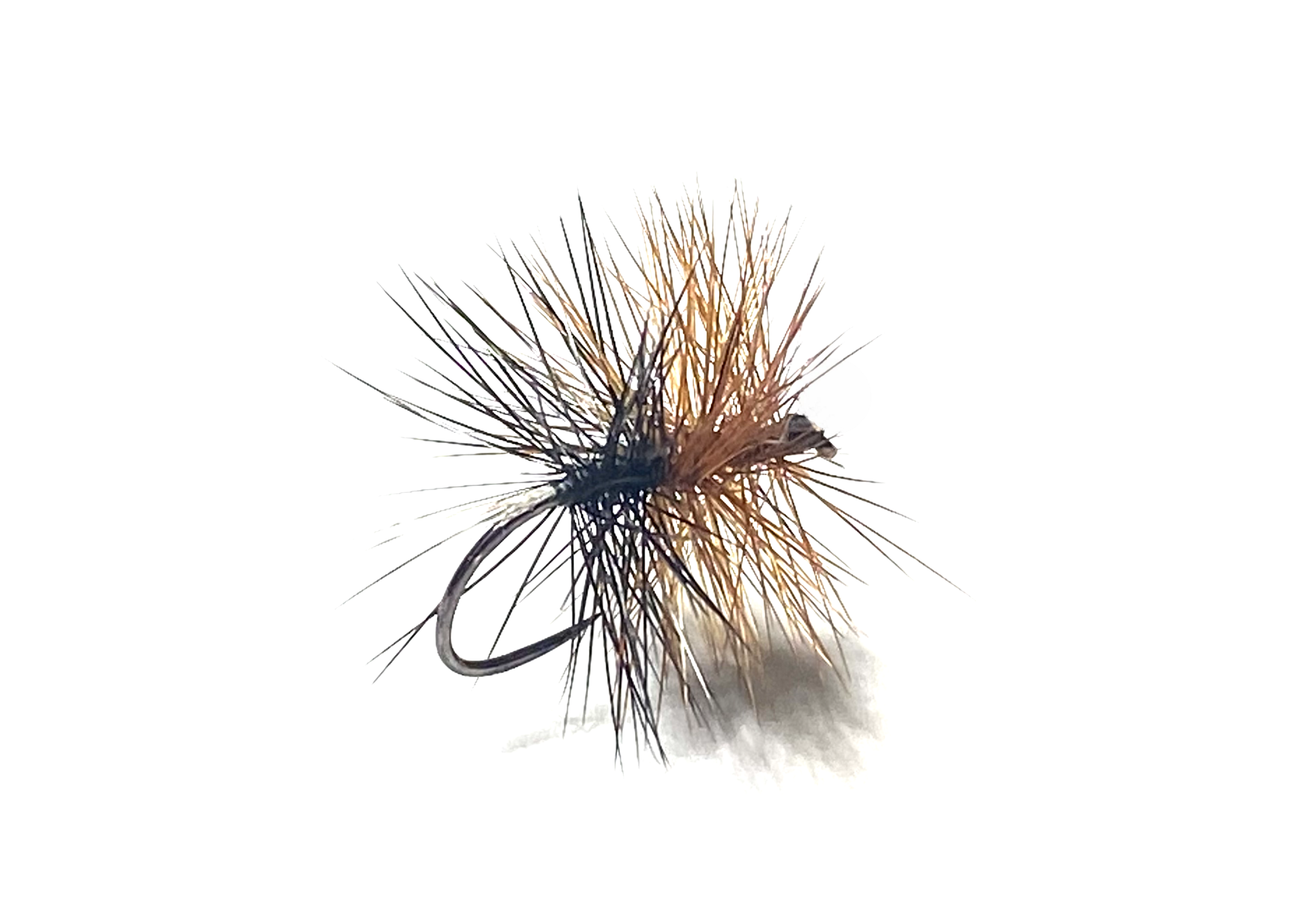 mouche sèche palmer