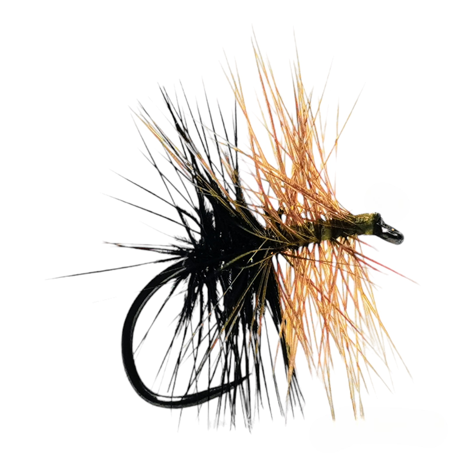 mouche sèche palmer