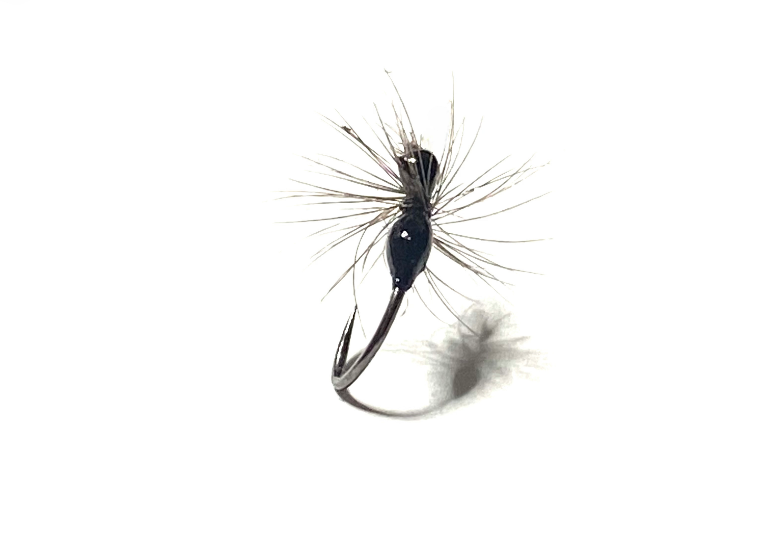 mouche fourmi volante
