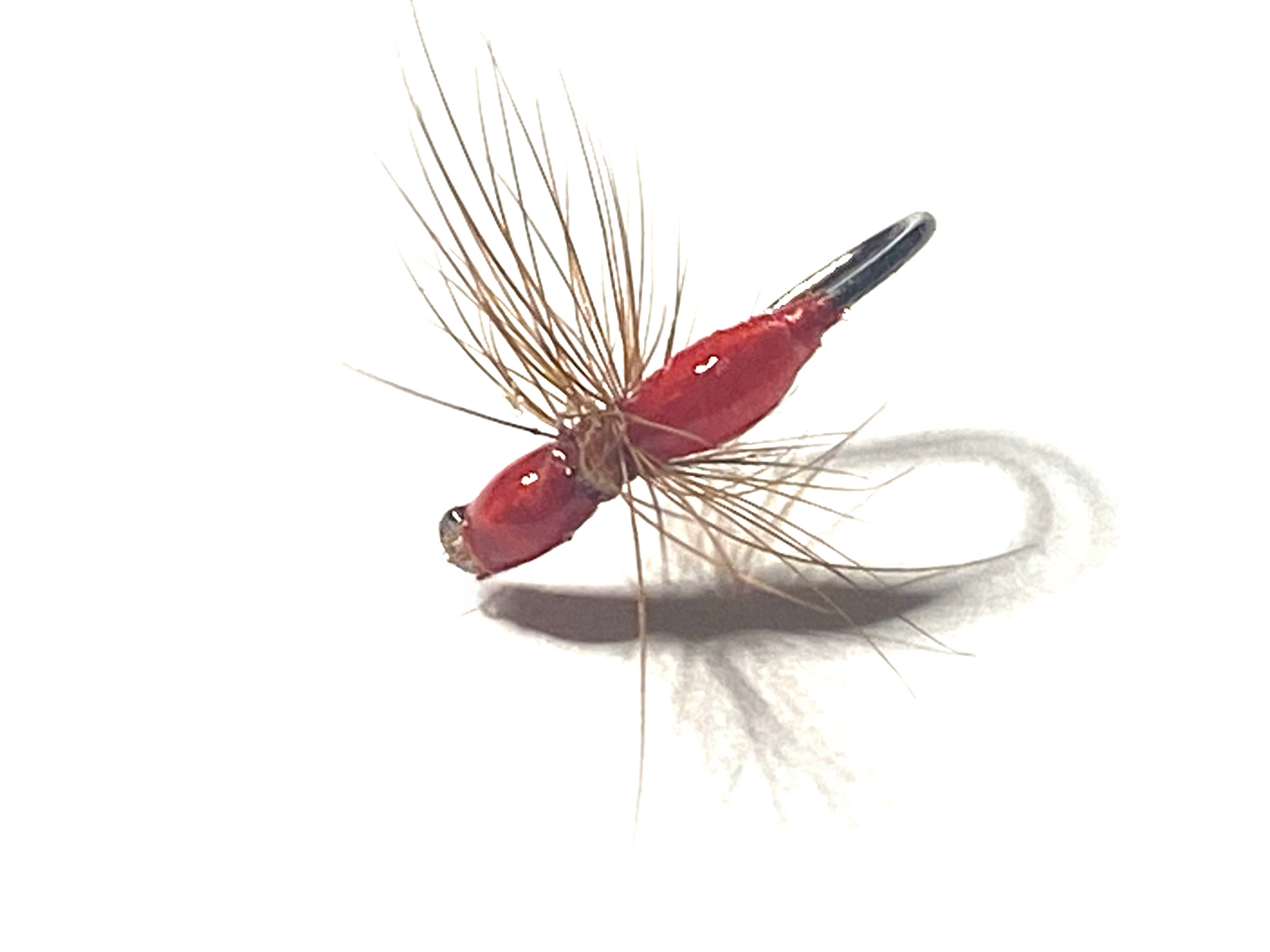 mouche fourmi peche