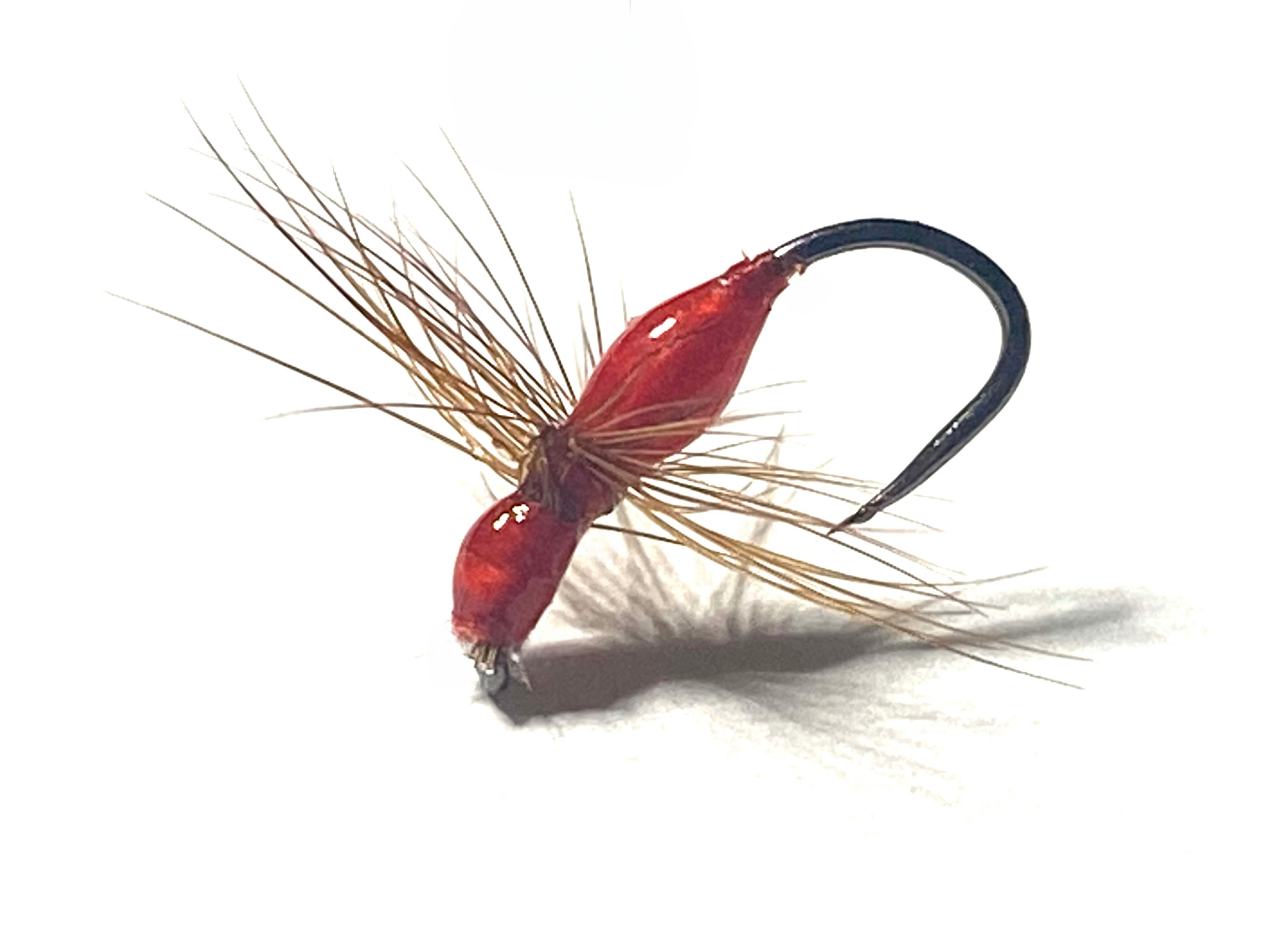 Mouches de pêche | Guide, conseils et sélection artisanale