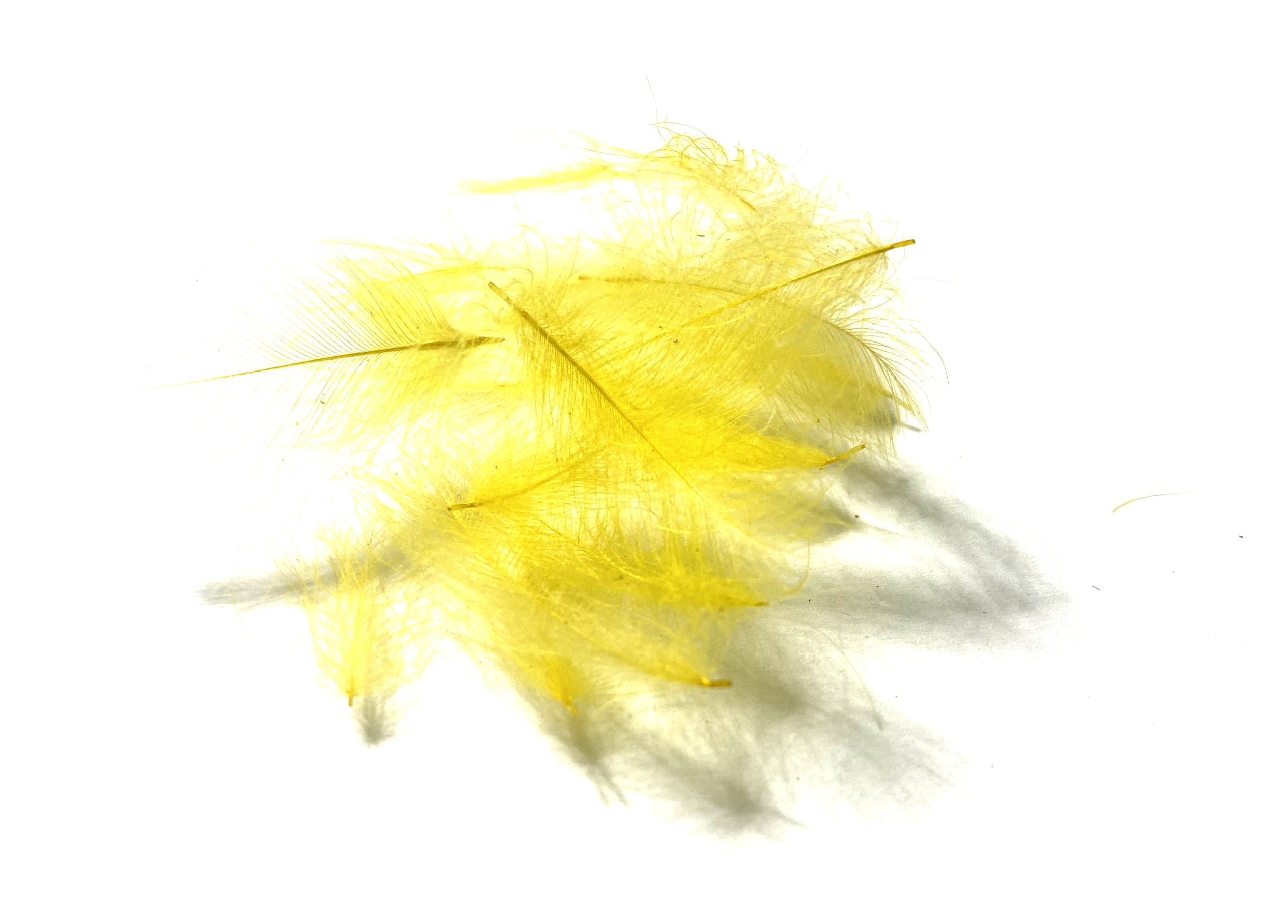 CDC (Cul de Canard Feathers) Natural White