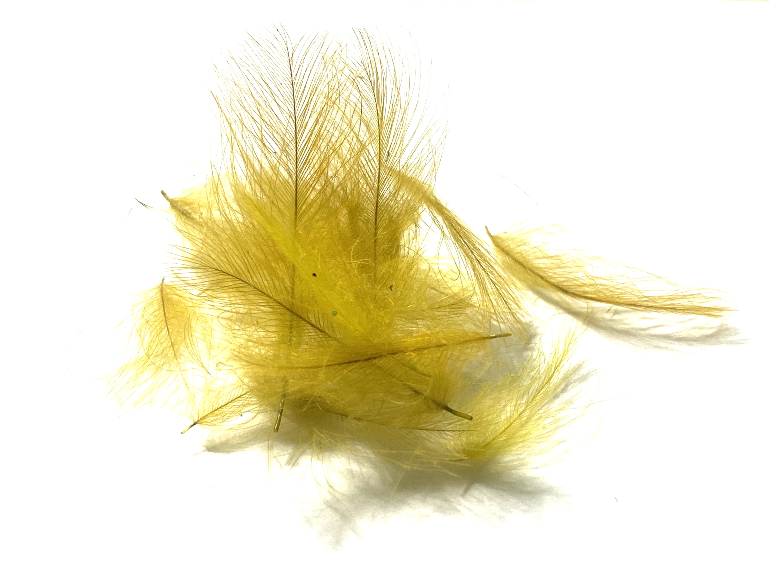 Décoration Fête Mariage 30 Plumes Naturelles De Dinde Et Faisan - 3 Styles Pour DIY, Déco