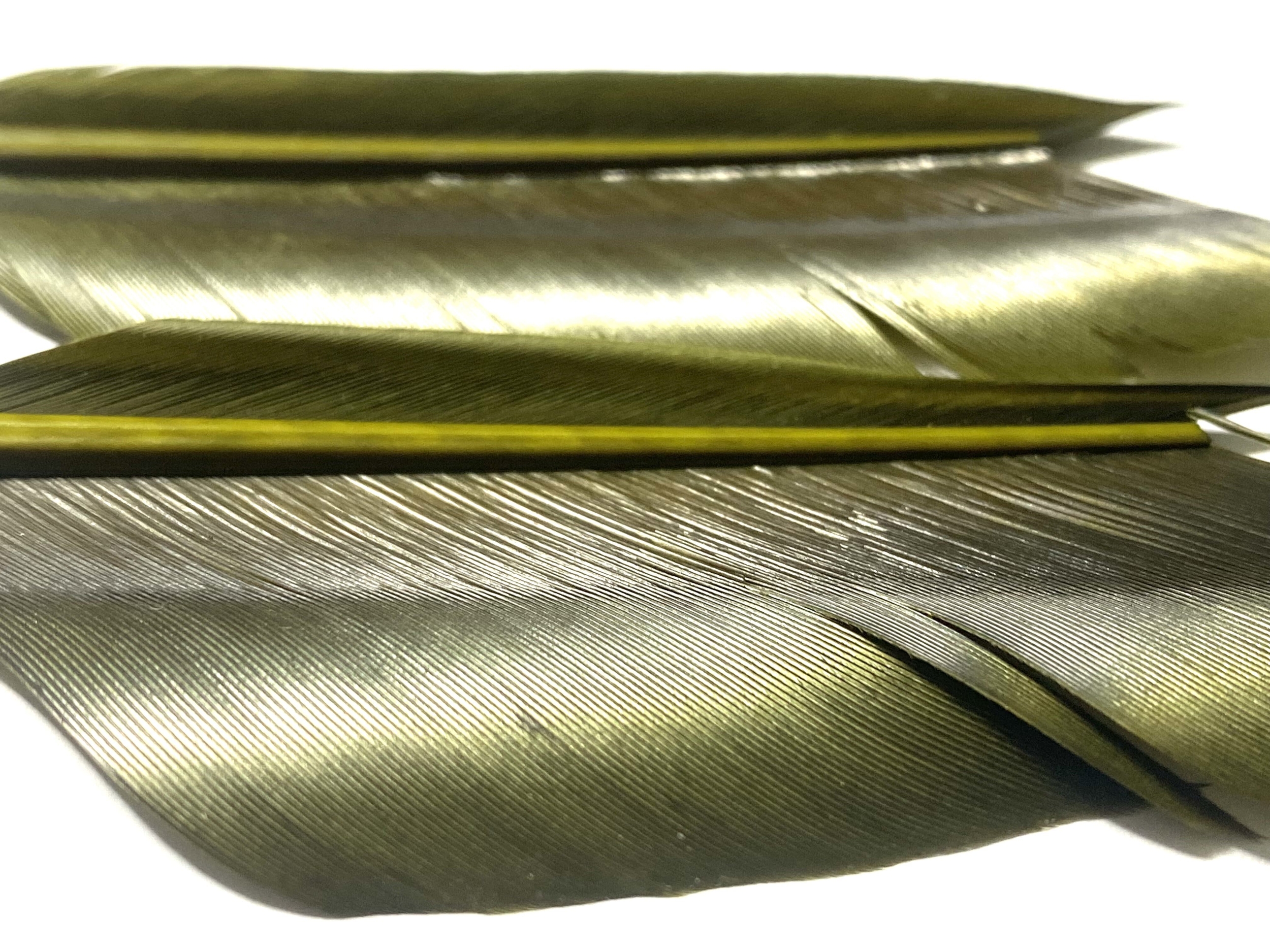 plumes substitut de condor medium olive