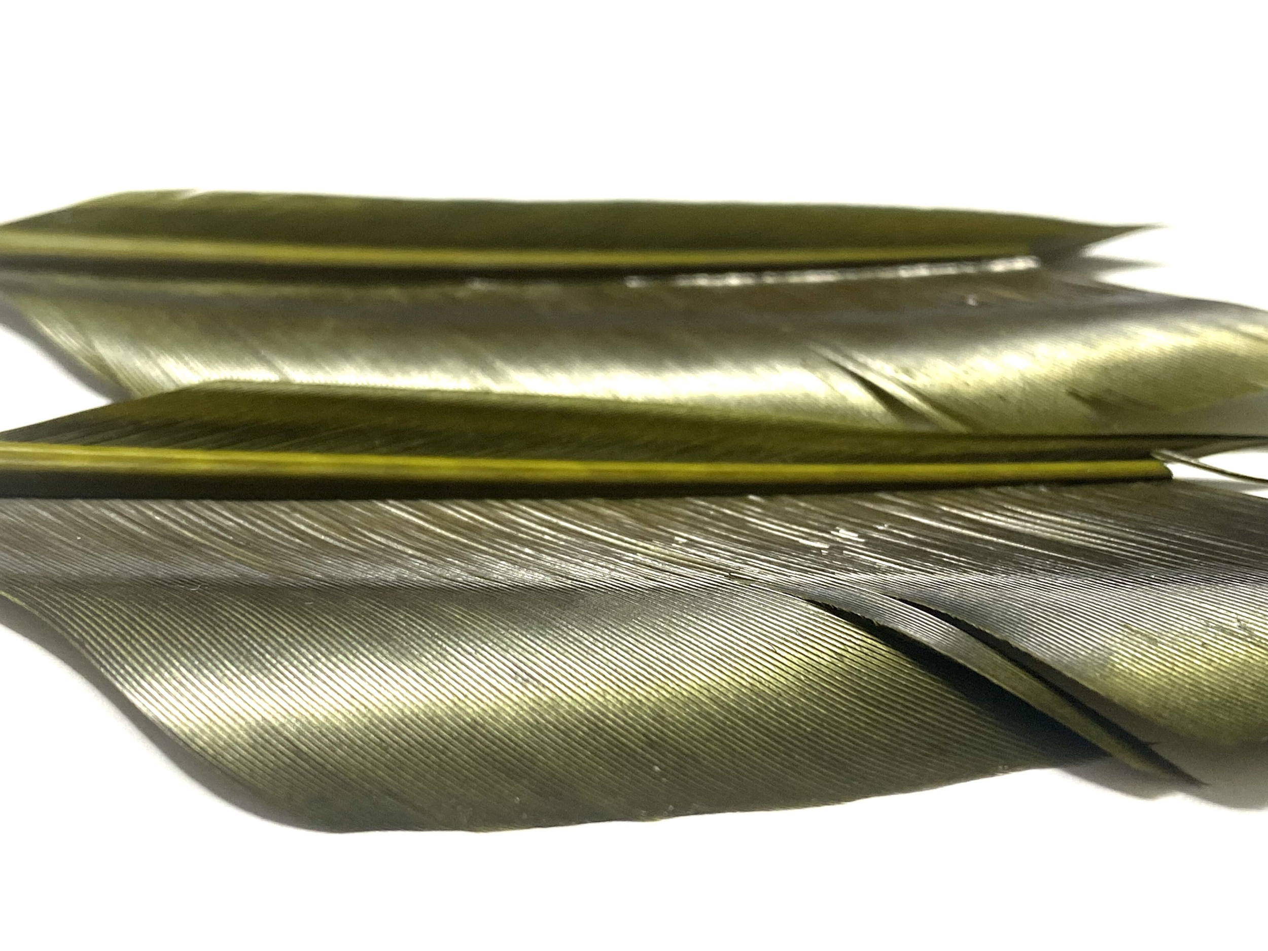 plumes substitut de condor medium olive