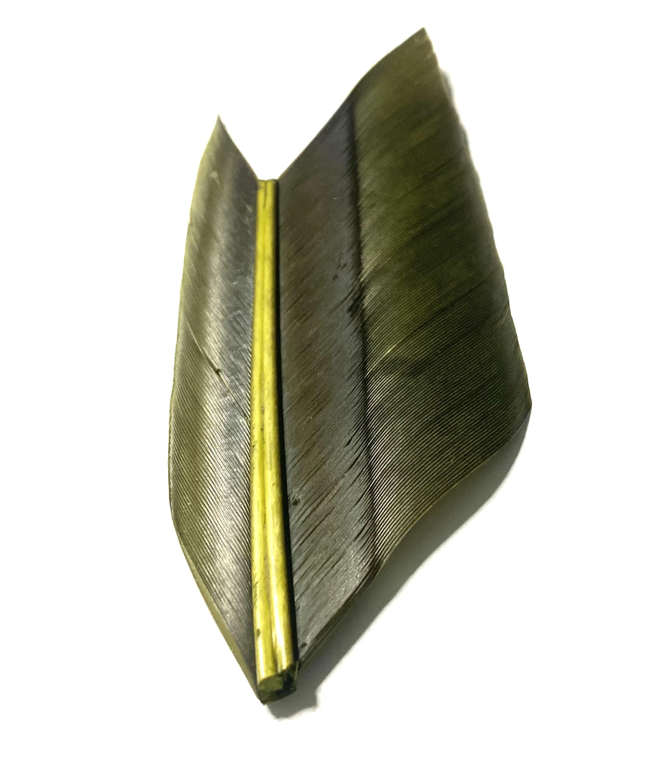 plumes substitut de condor medium olive