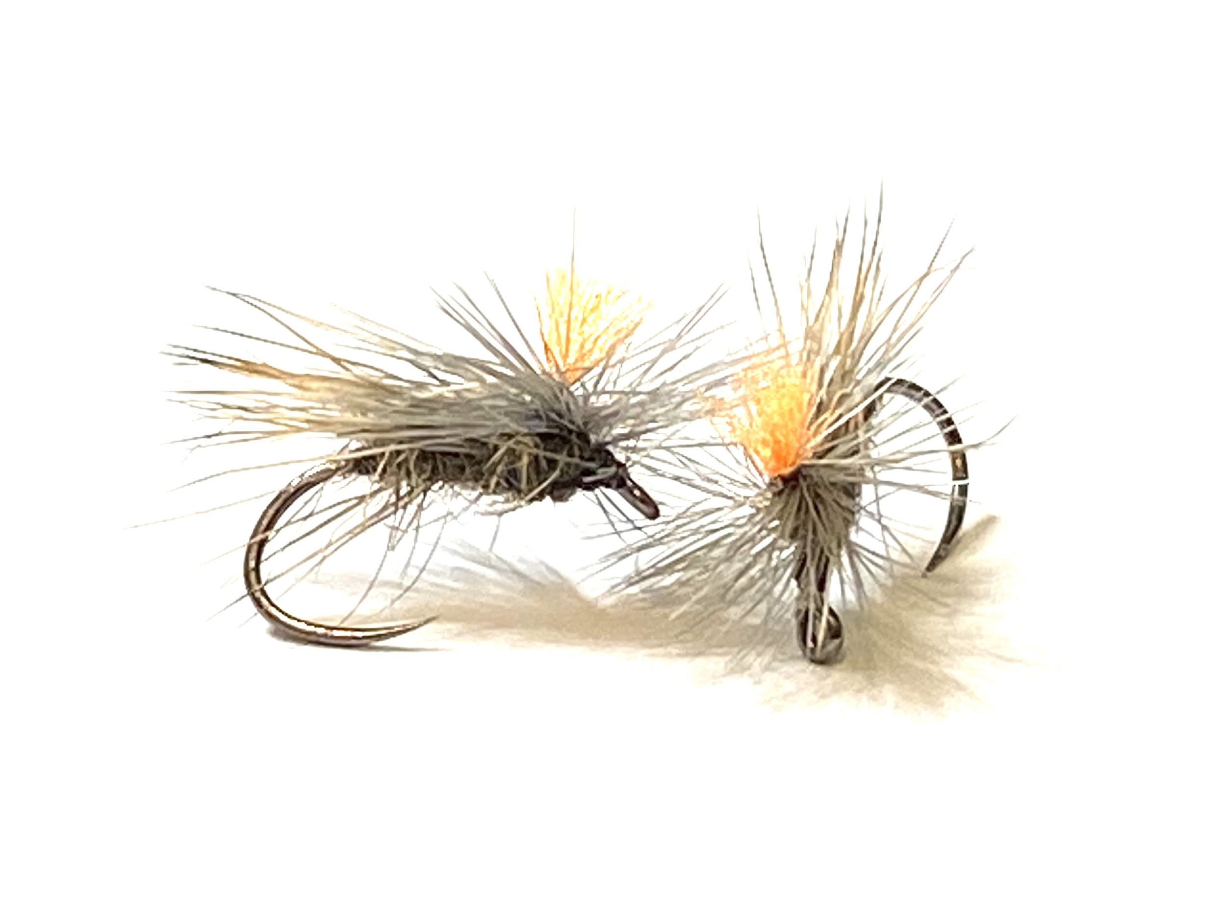 mouche sèche tavanas