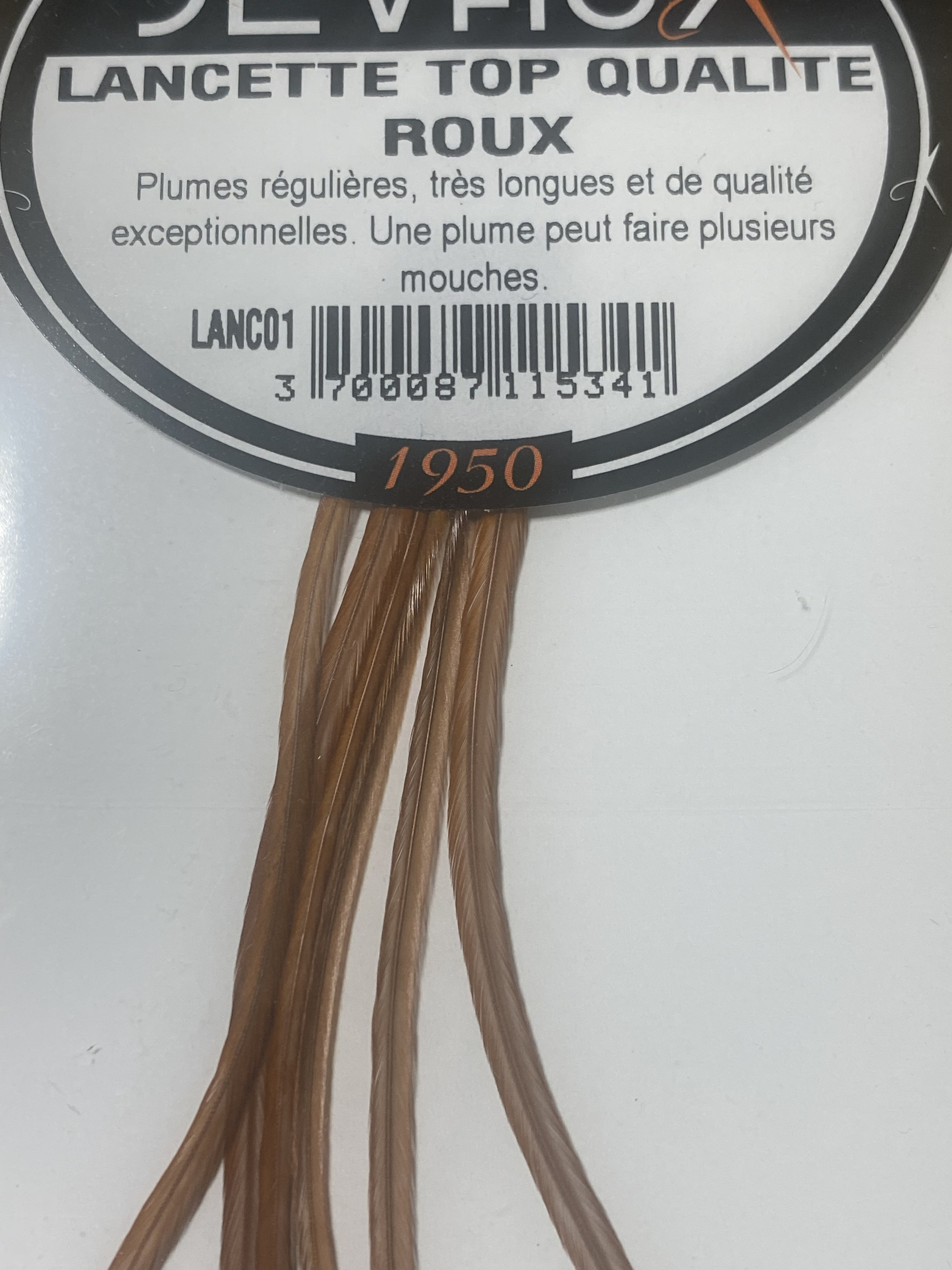 lancette-dvx-top-qualité