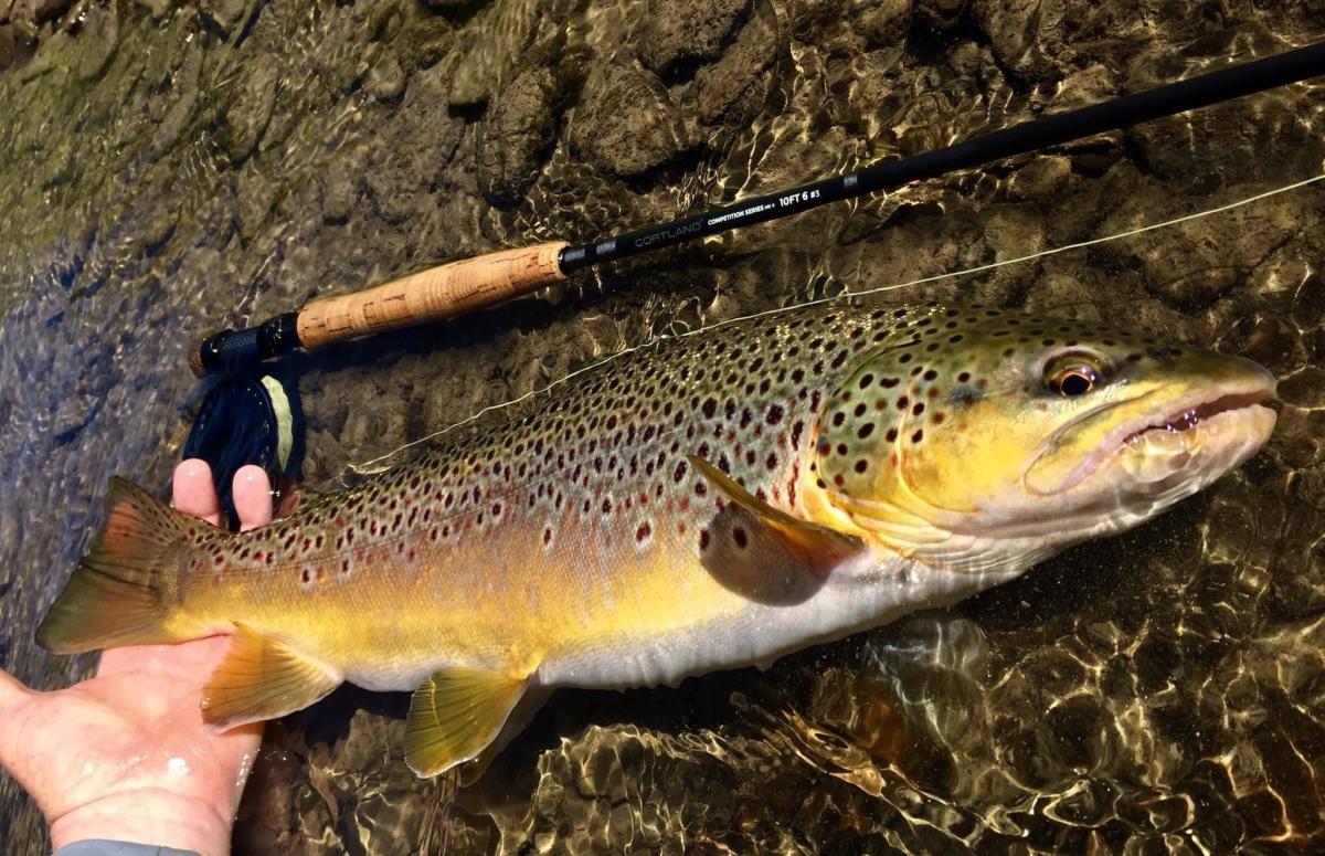 MKII-Nymph-Fly-Rods-66491-XXX-mk2nymphrod