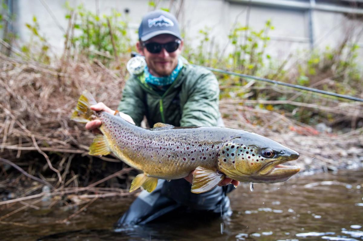 Ligne de pêche à la mouche - Cortland - 333 - Truite - Tout usage - Jaune - 27 m - Sport