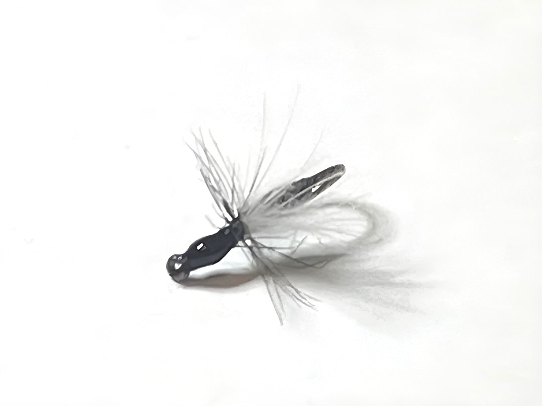 Mouche Fourmi Volante-2-min