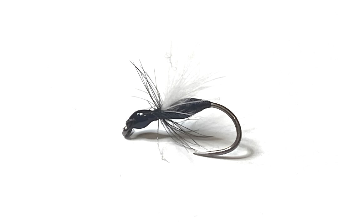 Mouche Fourmi Volante-2-min