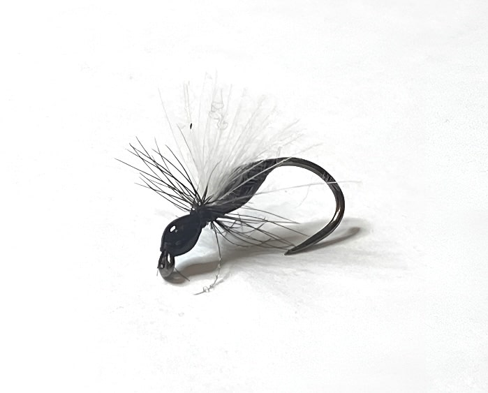 Mouche Fourmi Volante-2-min