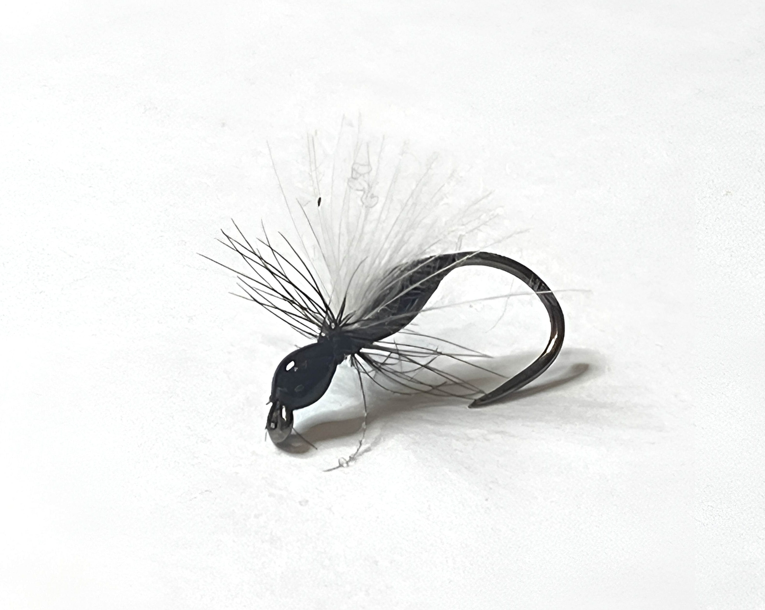 1012174335-Mouche Fourmi Volante