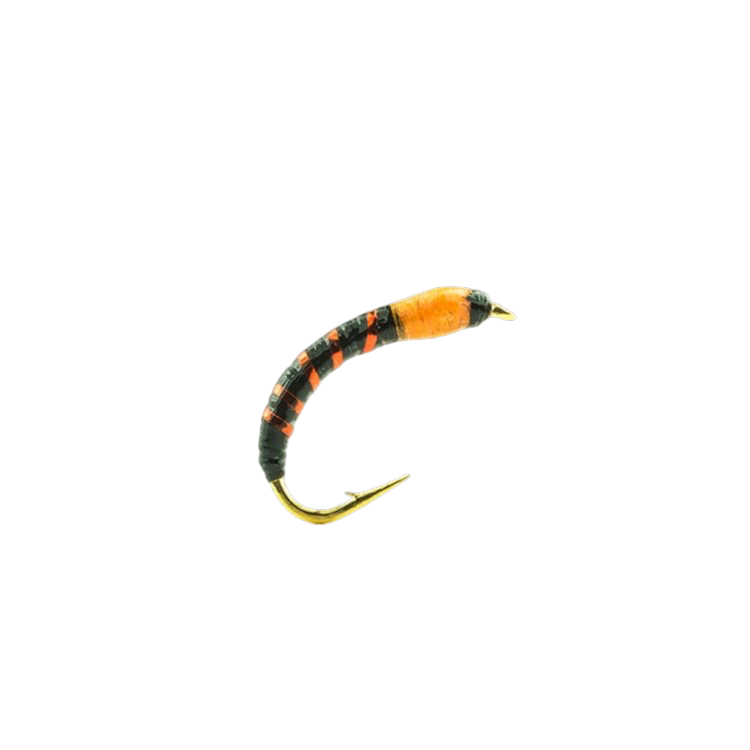 chironome