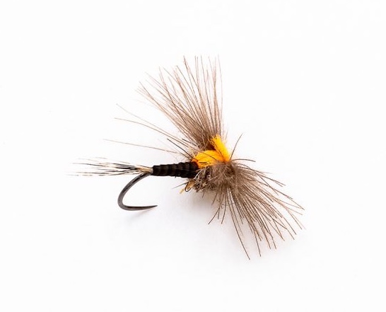mouche sèche indicateur