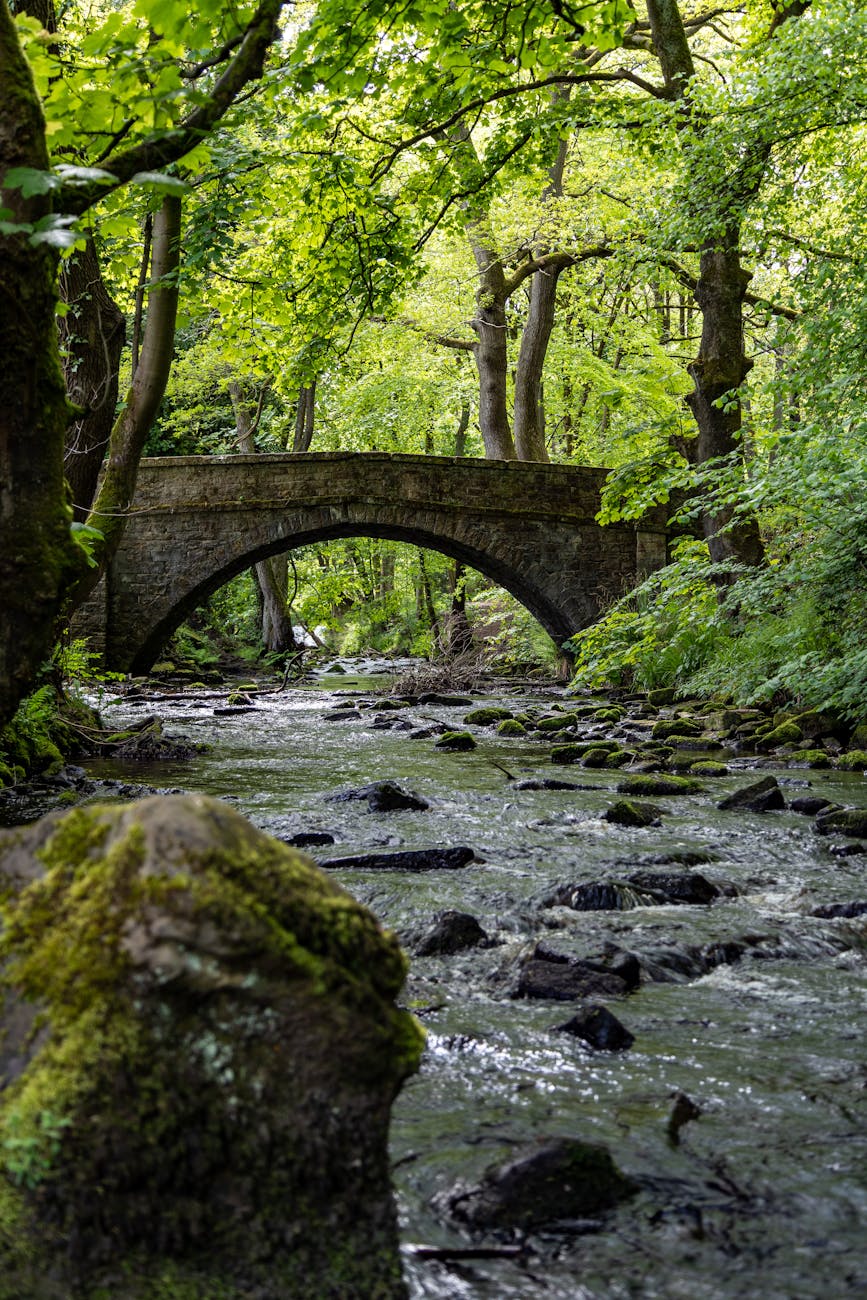 riviere