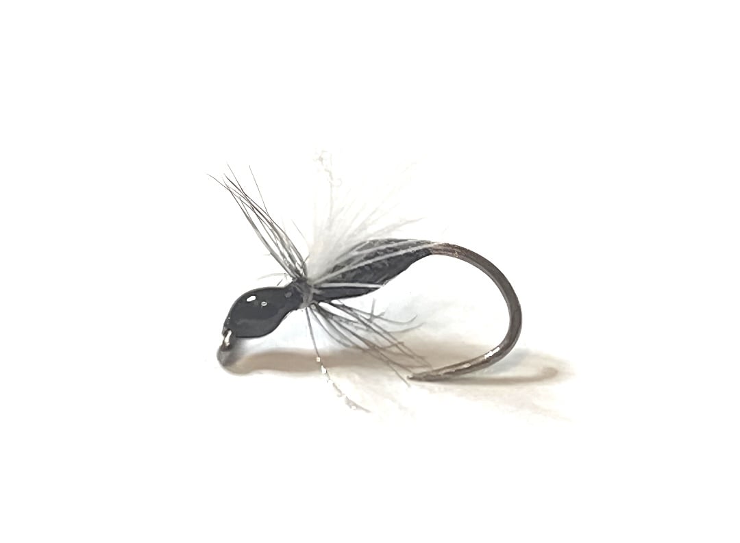 fourmis volante