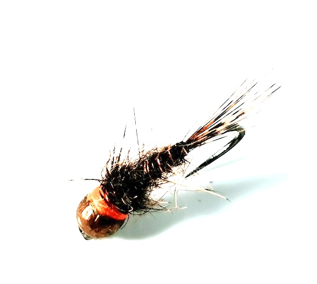 nymphe 