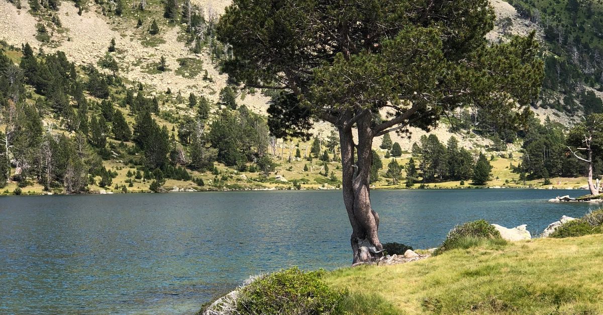 lac de montagne